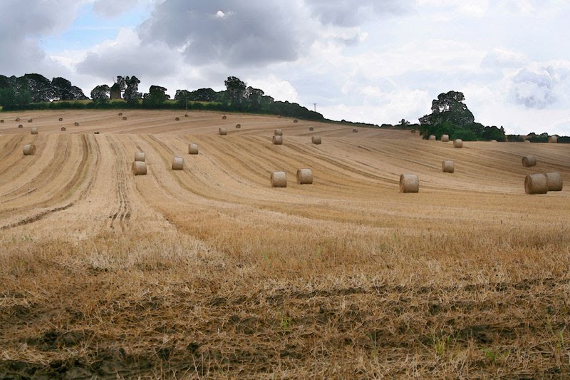 View towards Windmill, Oxhill by Andrew Roland