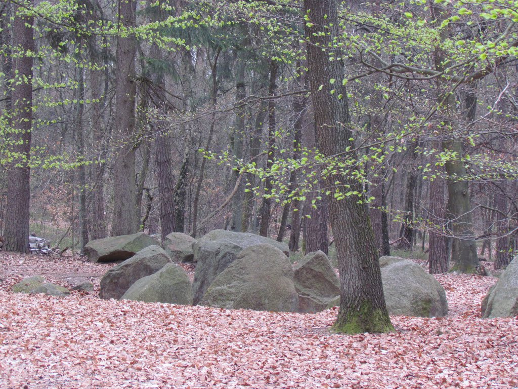 Großsteingrab am Giebichenstein by EL Condor