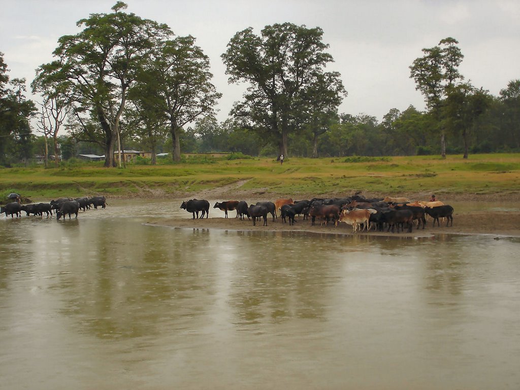 CHITWAN by gaelic