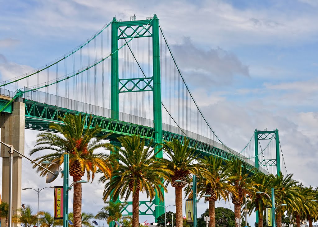 The Vincent Thomas Bridge in San Pedro by www.PhotographersNature.com