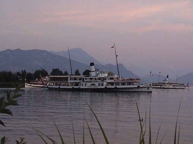 Steamboats on the Lake of Lucerne near Küssnacht am Rigi by looser oswald