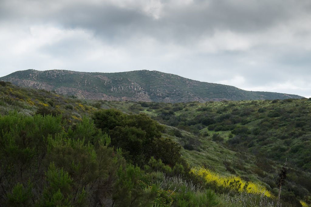 Mission Trails Park by Eric D. Bier