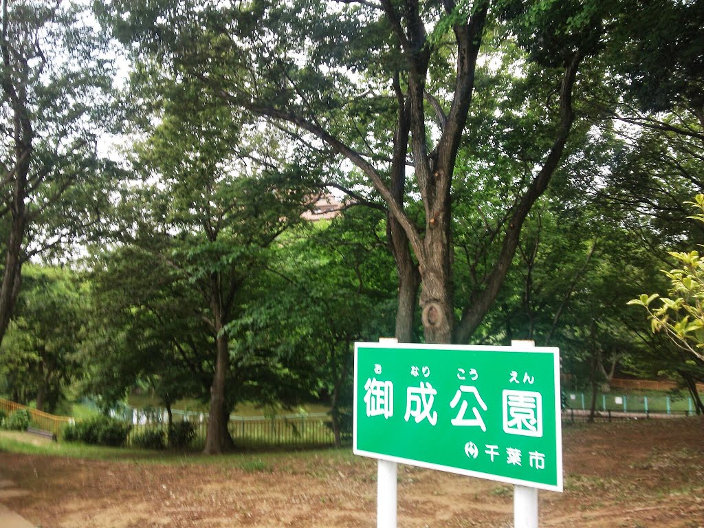 千葉　御成公園 by mthr110