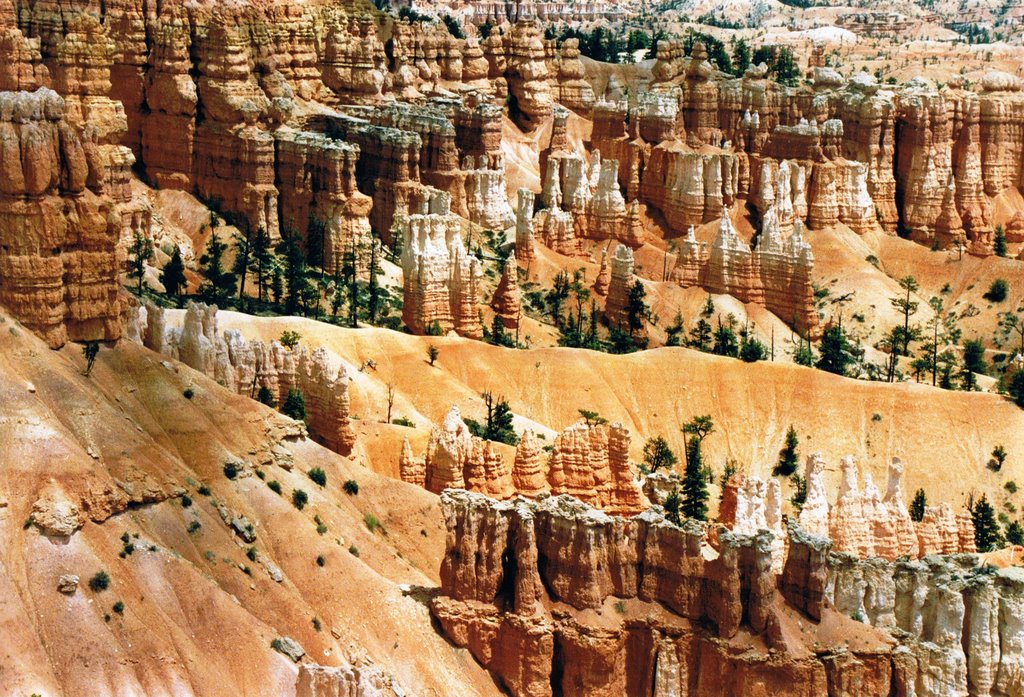 Bryce Canyon, Utah, USA by M. Morenz