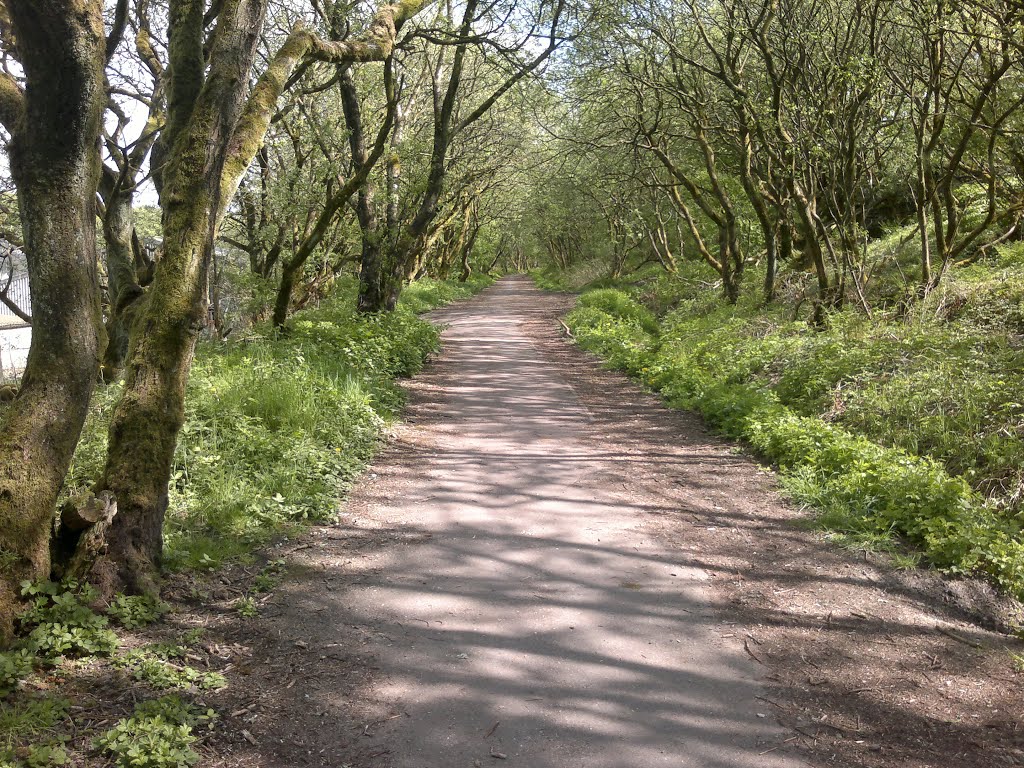 Disused railway - now National Cycle Network No. 6 by woomik