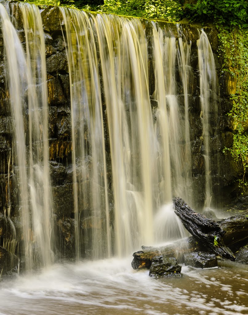 Old Mill Dam at Cedarock by Larry Lamb