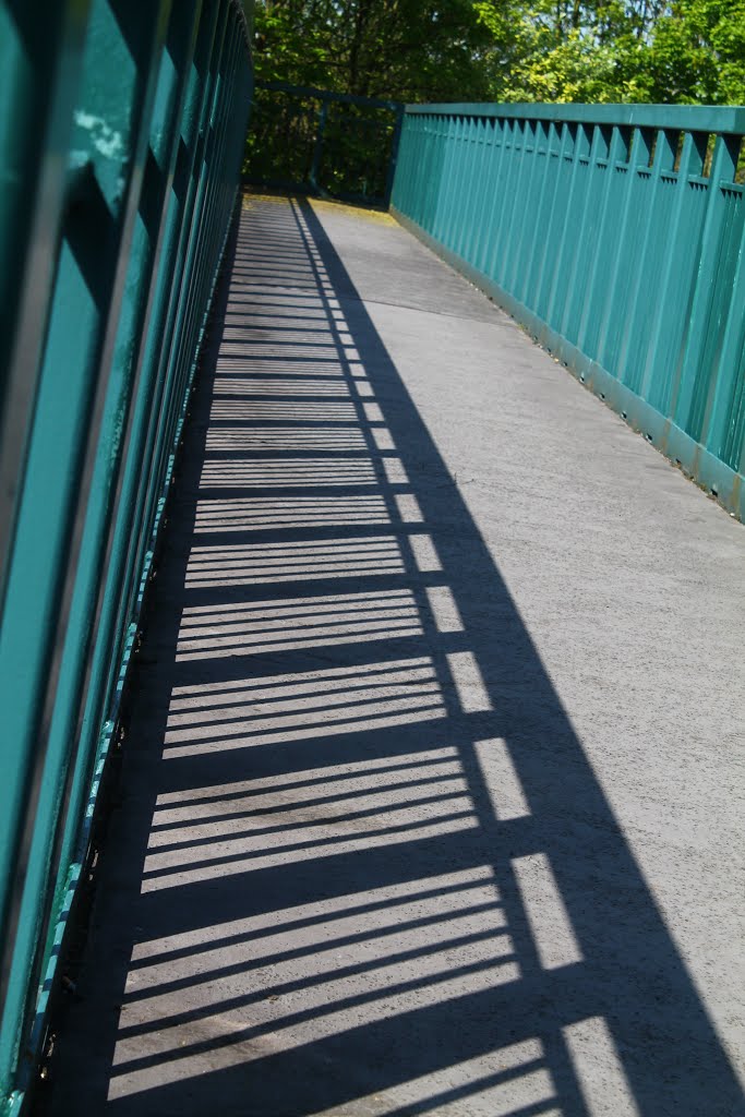 Elmdon Footbridge by Dickky