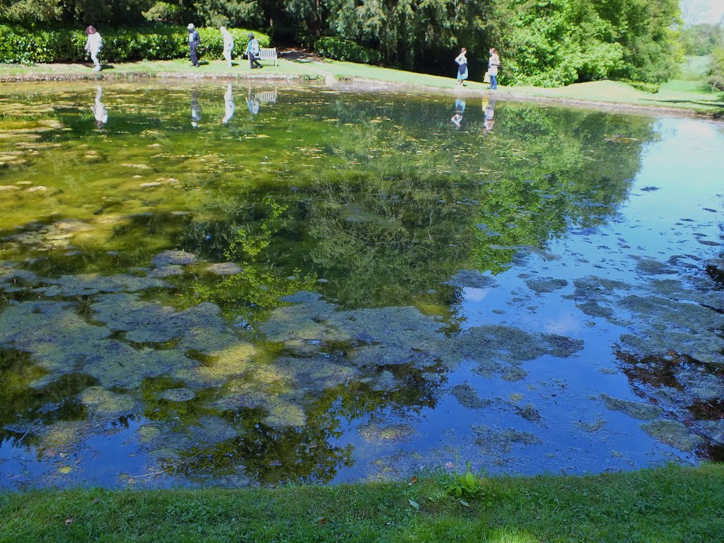 Rousham Park Lily Pond, Oxford England May 2013 by IsabellaJ