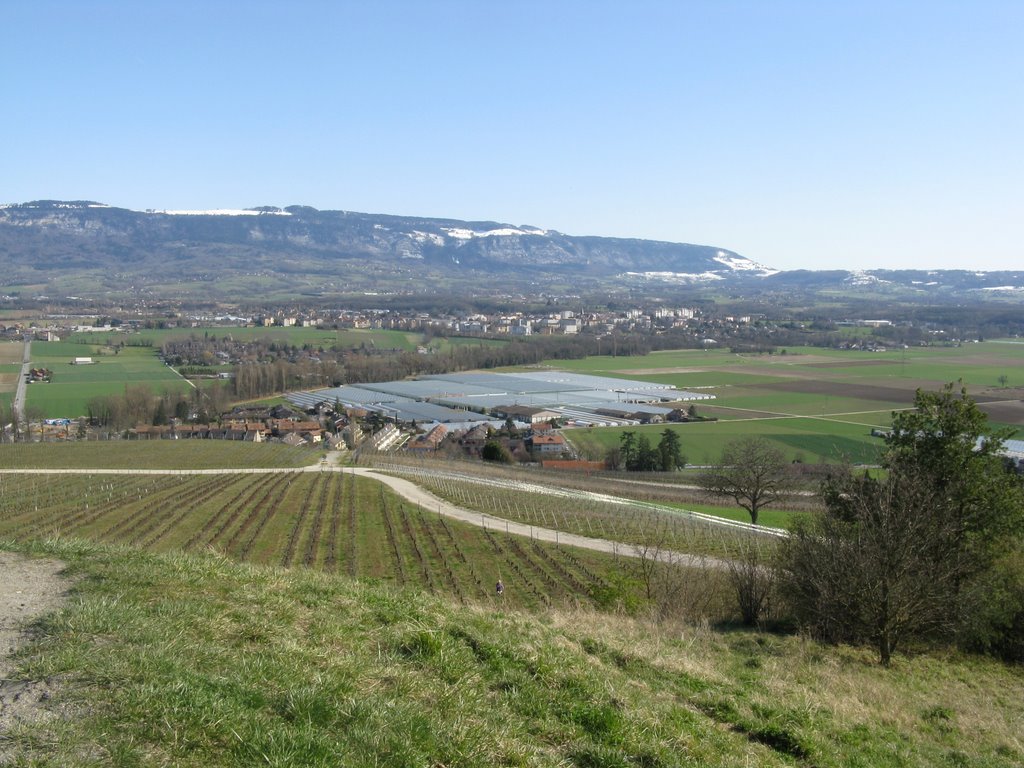 Lully, Saint-Julien et Salève (des Pitons) depuis Signal de Bernex by Paul Myers