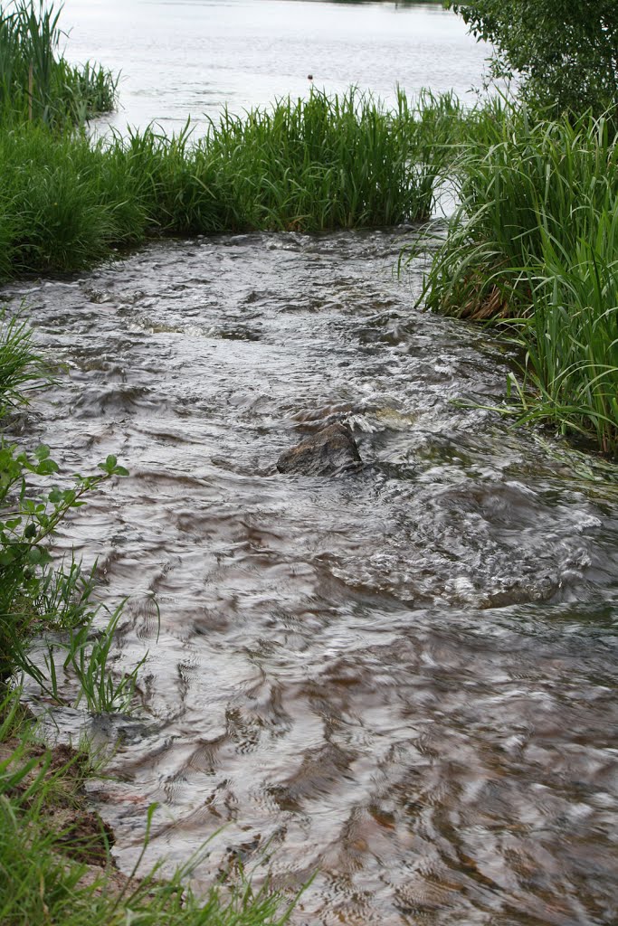 Kulpė rivulet... flowing into Prūdelis by augustinasplikis