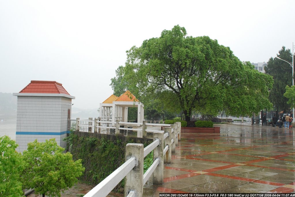 清明雨景 by NetCar