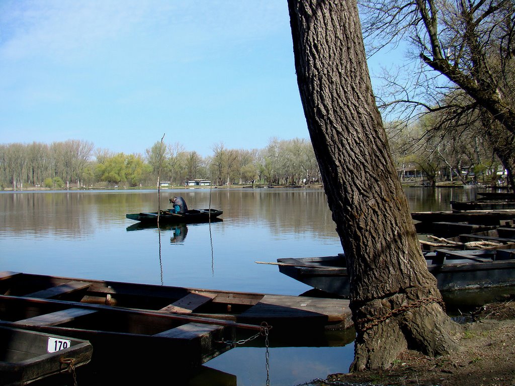 2008.03. - Mártély, Tisza-coastal quietlife 3 by Péter Farsang