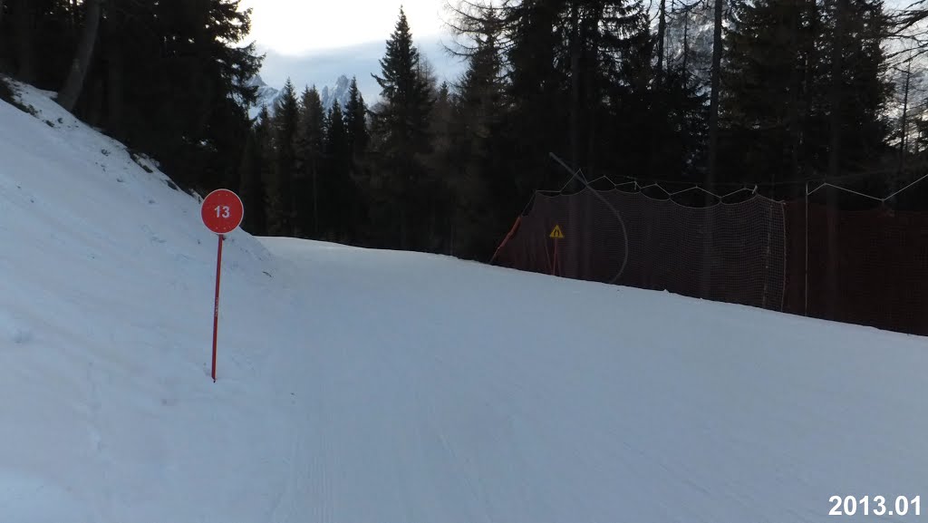 Piste 13 (Red) at Alta Pusteria by Irmantas - No2Views!