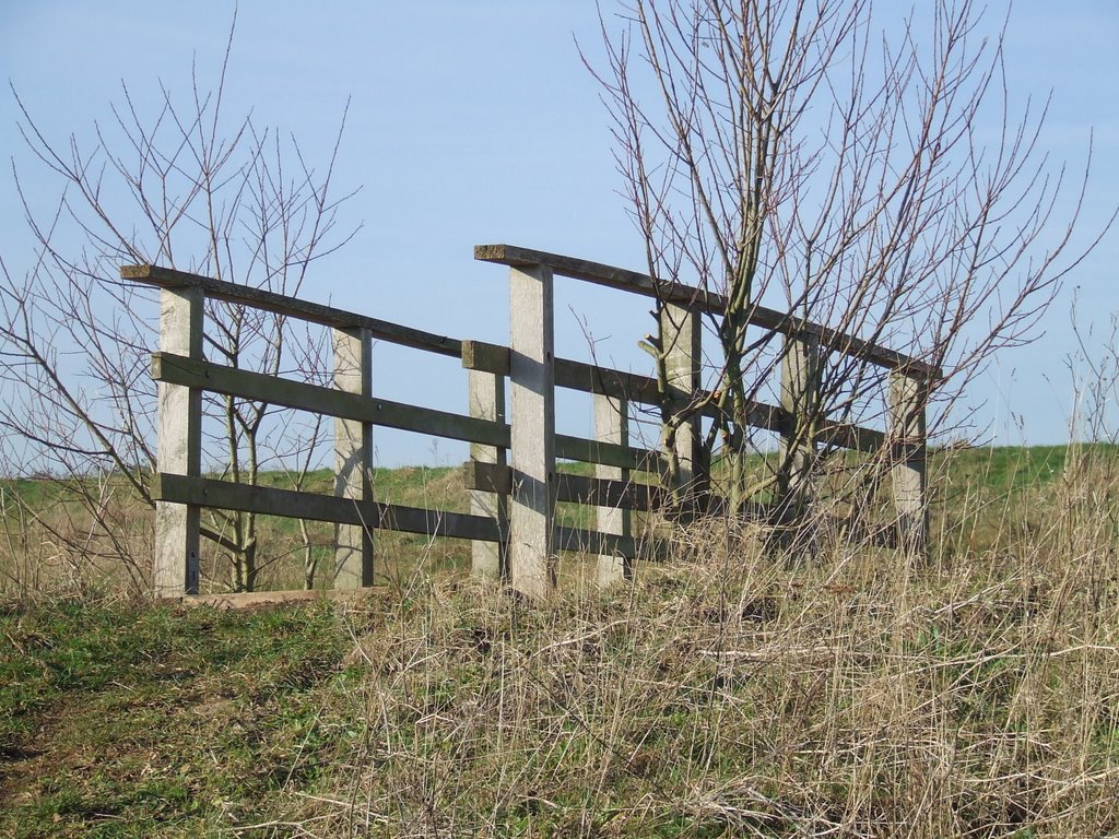 Footbridge in Grangemoor Park by AndrewDRees