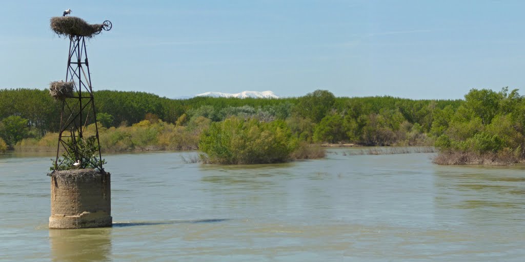 El Río Ebro a su paso por Alcalá de Ebro. by zinaztli