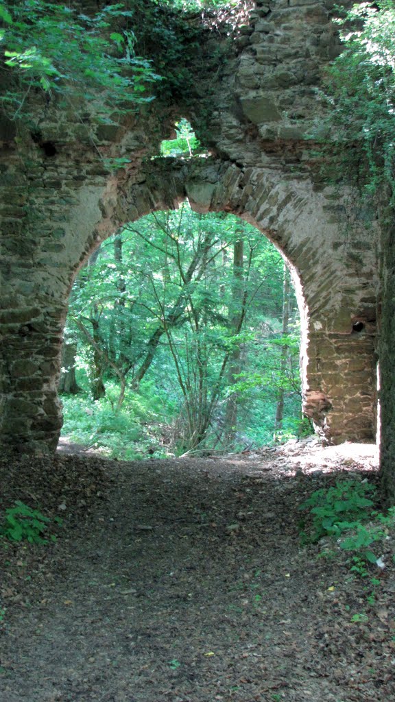 Ruine Wensburg by Iris & Harry