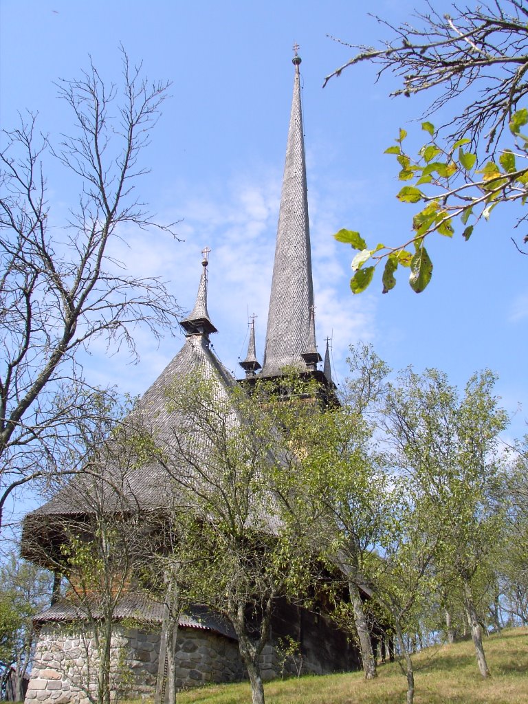 Biserica in Fildu de sus by johandegrieck