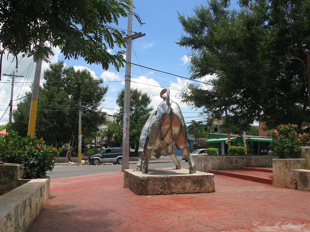 EL TORO DEL BULEVAR, LA ROMANA by Carlos M. Pascual