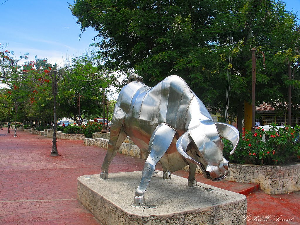 EL TORO DEL BULEVAR, LA ROMANA, R. D. by Carlos M. Pascual