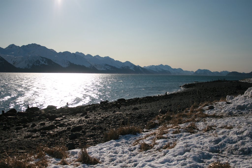 Seward Beach by leahmargaret