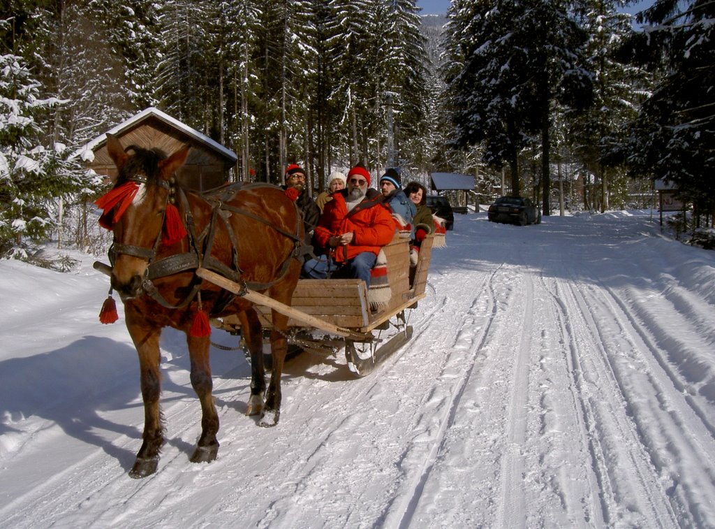 Winter transportation in Azuga by drinkula