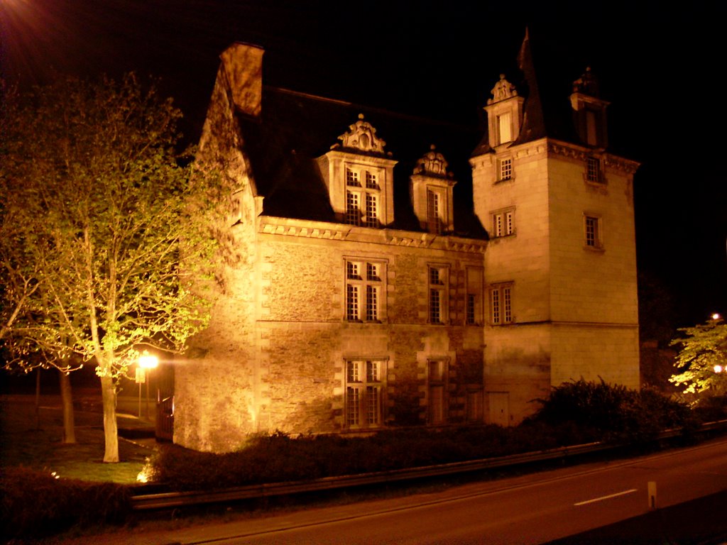 Hôtel du Roi de Pologne de nuit (Avril 2008) by tuxakadjseb