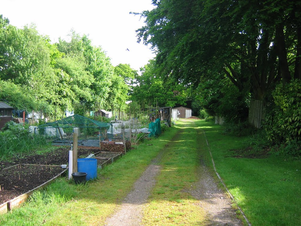 Late May 2013 on Eagle Close allotments by cford