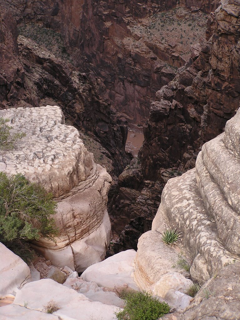 Cliff view of the Little Colorado by Ryan Weidert