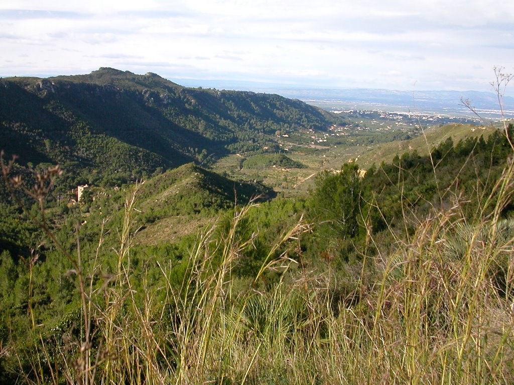 ALZIRA DES DE LA MURTA by C@S