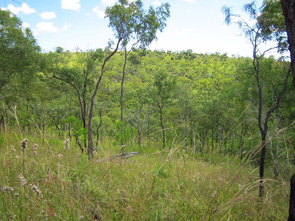 Inside Kalkani Crater, Undara Volcanic NP, Qld by Jason Boyd