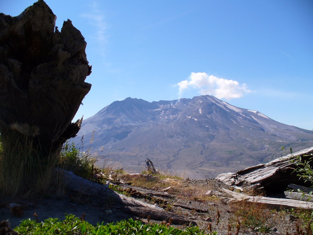 Mount Saint Helens, August 2006 by Rick Fowler