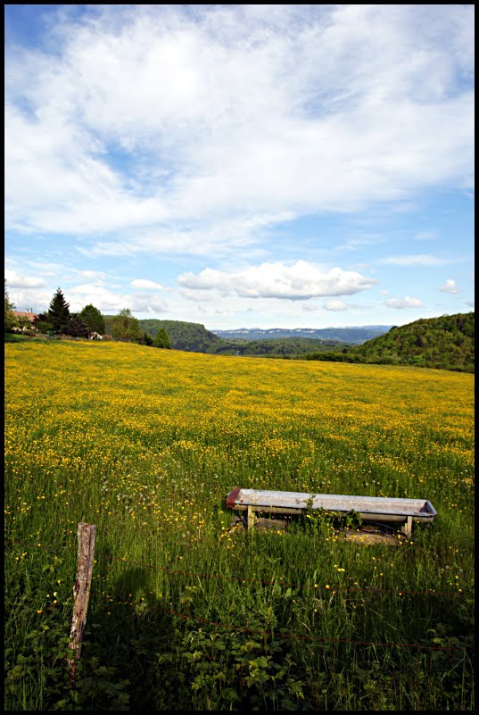 Rural views by Philippe Buffard