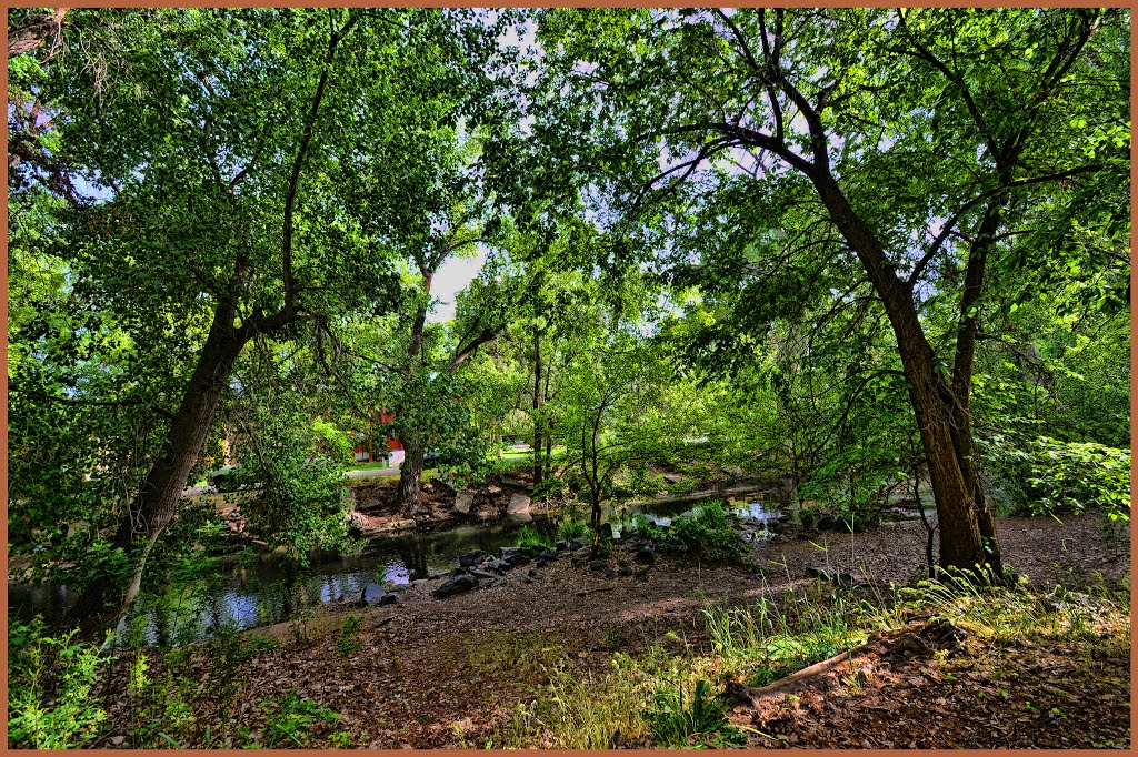 Ogden River from Ogden River Parkway by Brenton Cooper