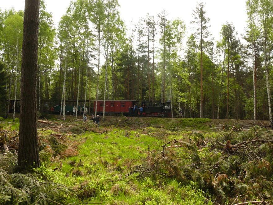 Waldeisenbahn Muskau by mathias.b