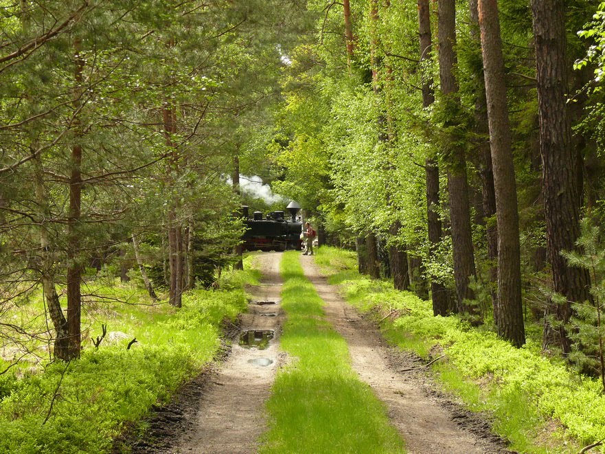 Waldeisenbahn Muskau by mathias.b