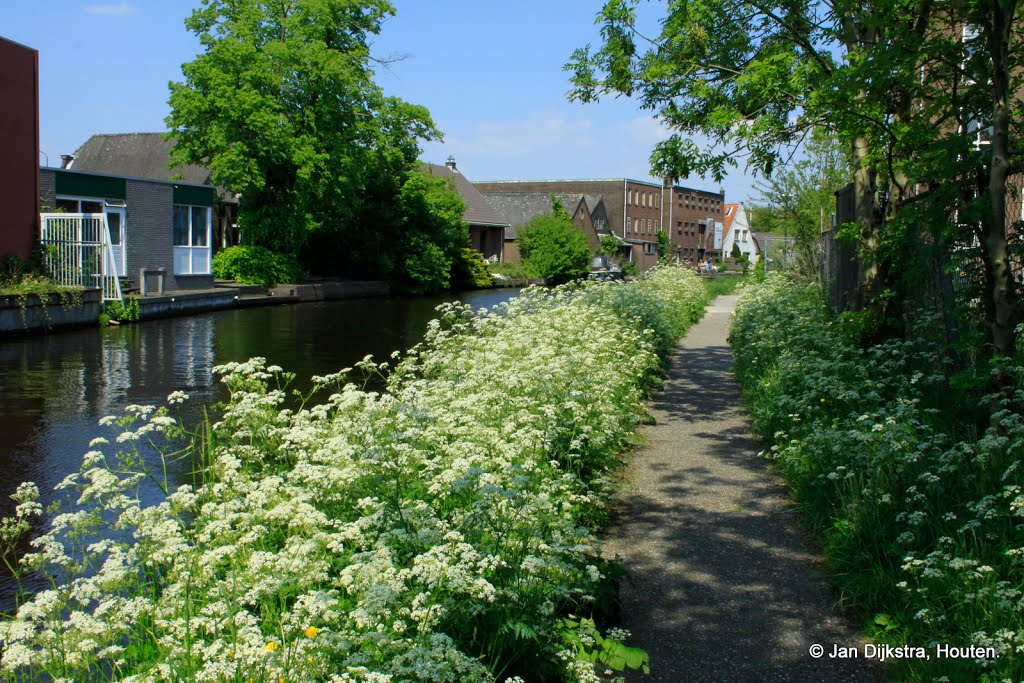 Jaagpad Woerden by watersnip