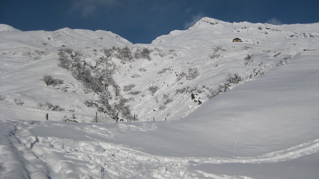 Tallialp, in fondo la cima by Giovanni Malinverni