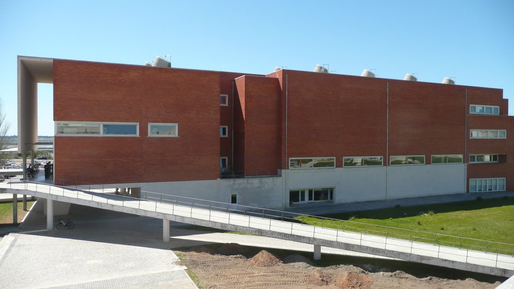 Universidade de Aveiro - Biblioteca by Nuno Gonçalves