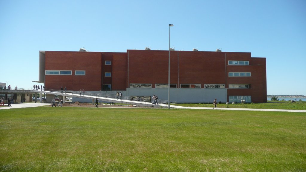 Universidade de Aveiro - Biblioteca by Nuno Gonçalves