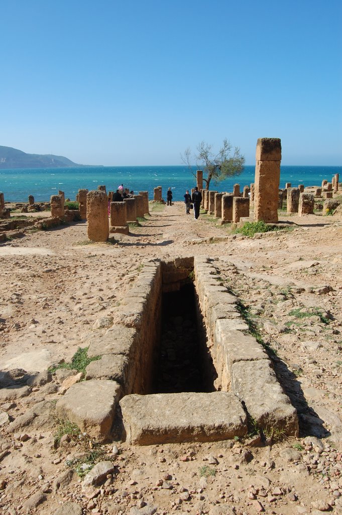 Roman Ruins DSC_5390 by zdravko.stambolov