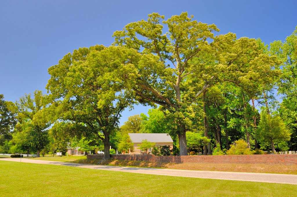 VIRGINIA: MIDDLESEX COUNTY: SALUDA: Christ Church (Episcopal, 1666), 56 Christchurch Lane with trees by Douglas W. Reynolds, Jr.