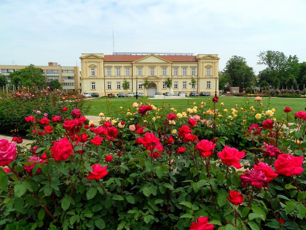 Szolnok, Verseghy park by orban.lorant