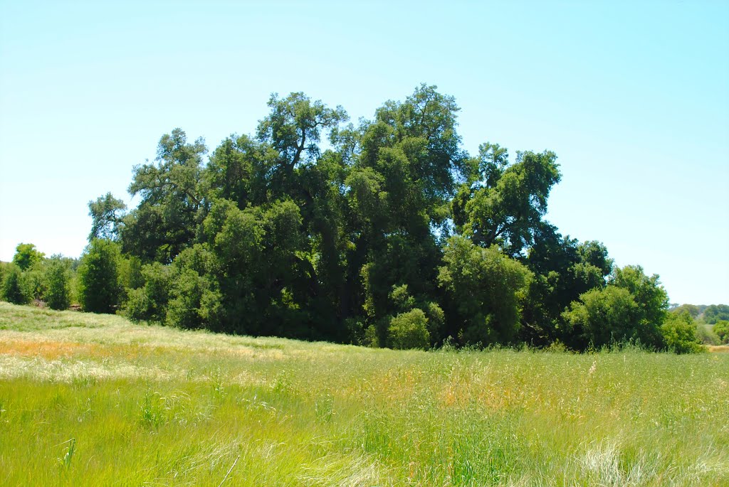 Santa Rosa Plateau, by 🌴SoCal-Dude😎🌴