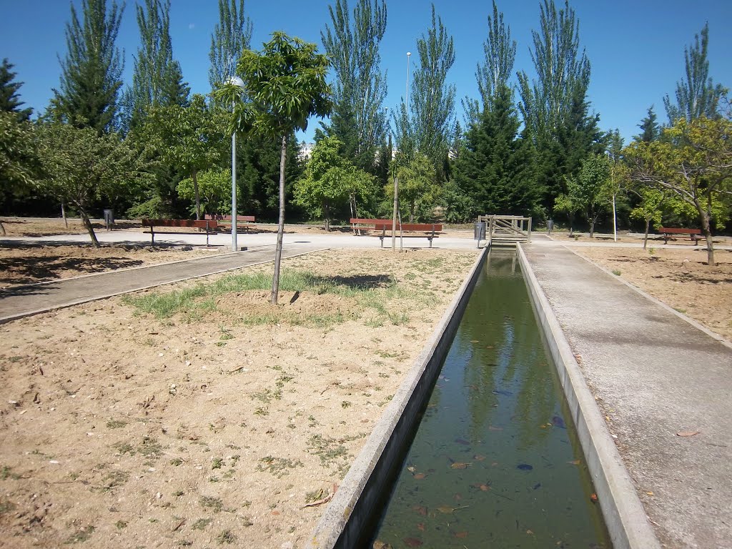 Canales en el parque de la Solidaridad by serfuen