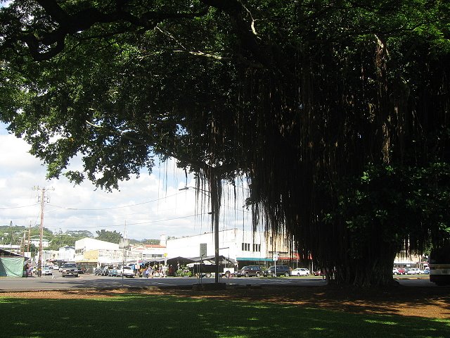 Hilo Farmers Market by 中日本映像