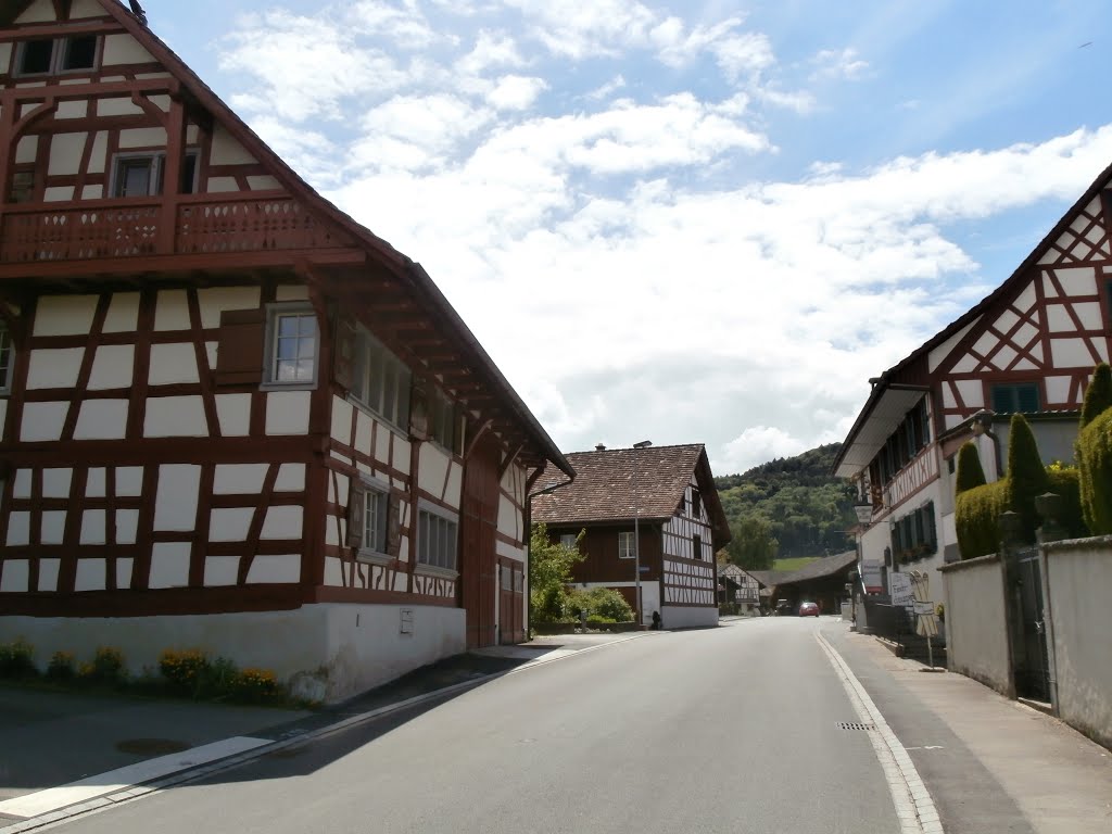 Berg am Irchel , Hauptstrasse by Bencze Zsolt