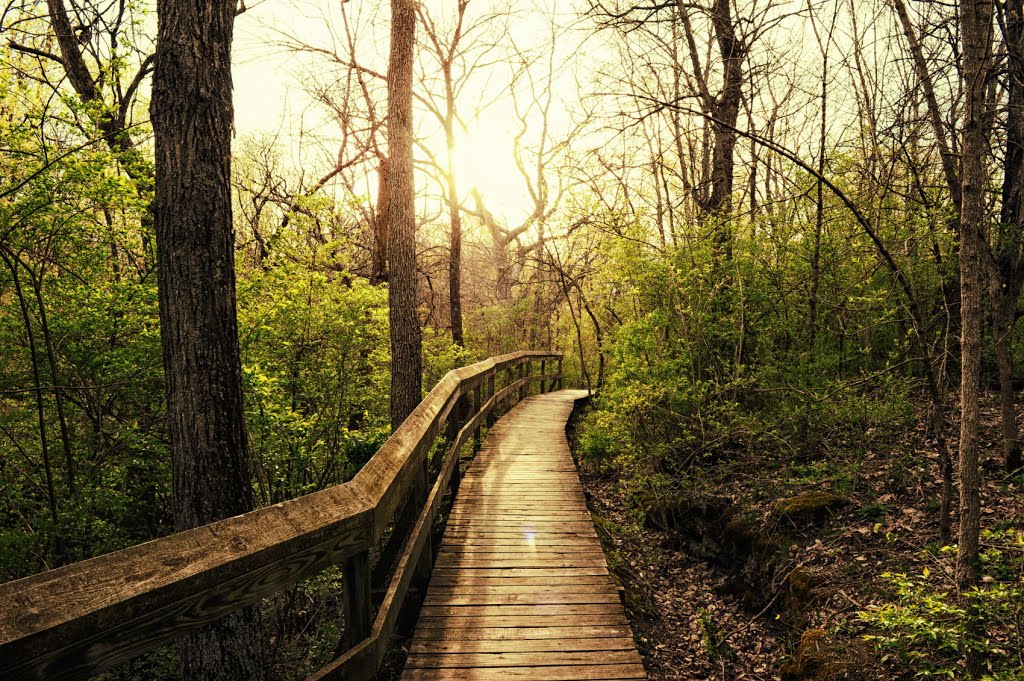 Peterson Park Walkway by Pittenger