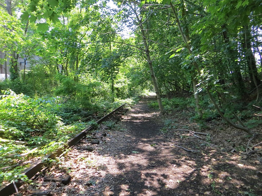 Rutherford’s Highline Trail by Adam Elmquist