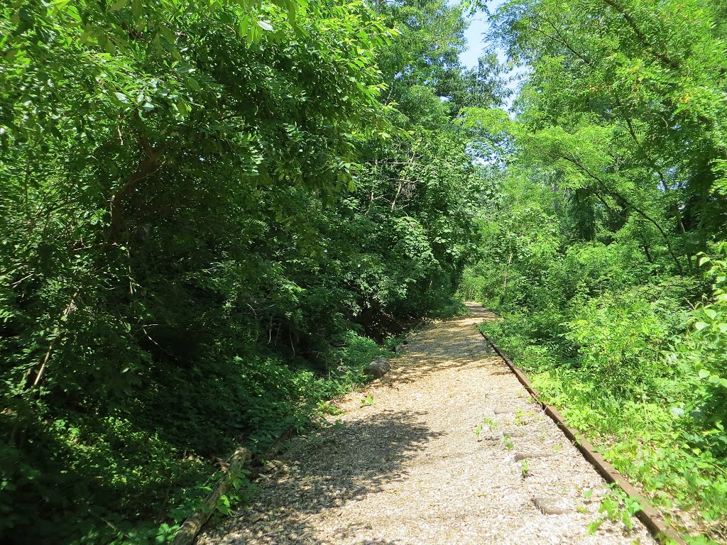 Rutherford’s Highline Trail by Adam Elmquist