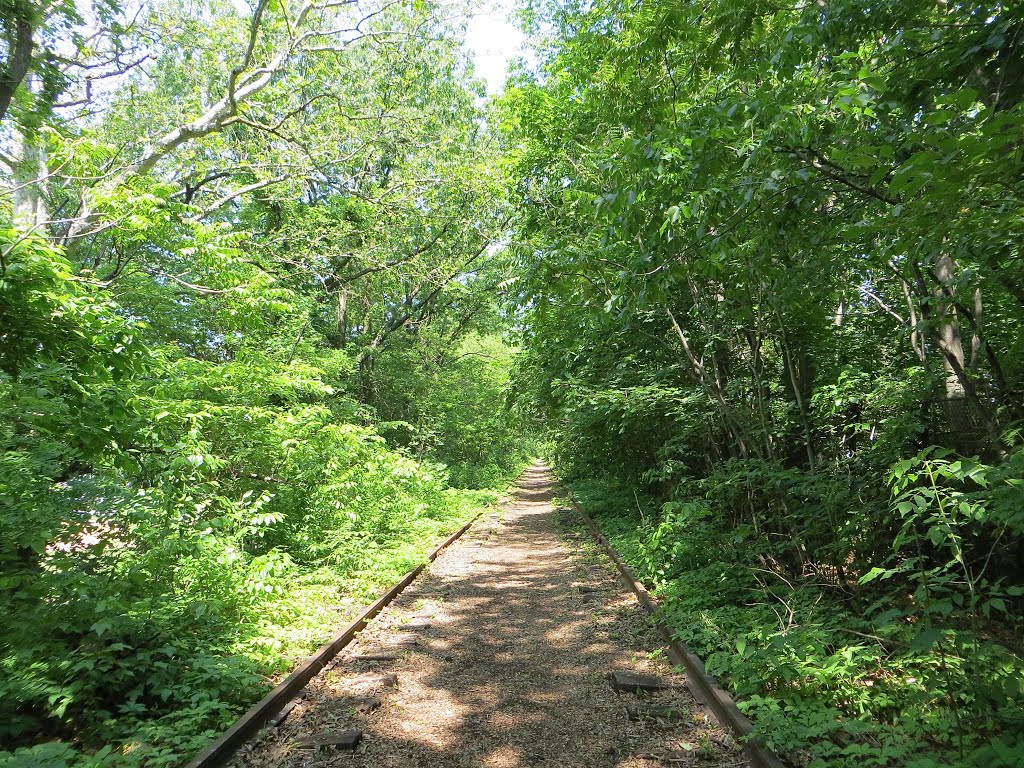 Rutherford’s Highline Trail by Adam Elmquist